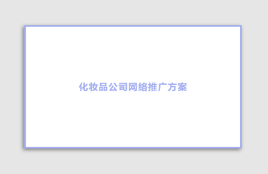化(huà)妝品行業網絡營銷策略方案