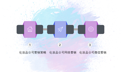 化(huà)妝品行業網絡營銷策略方案
